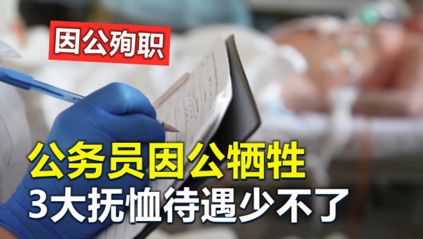 六台彩开奖特马,金赛纶去世背后不为人知的秘密,完美答案解释落实_权威版V15.42